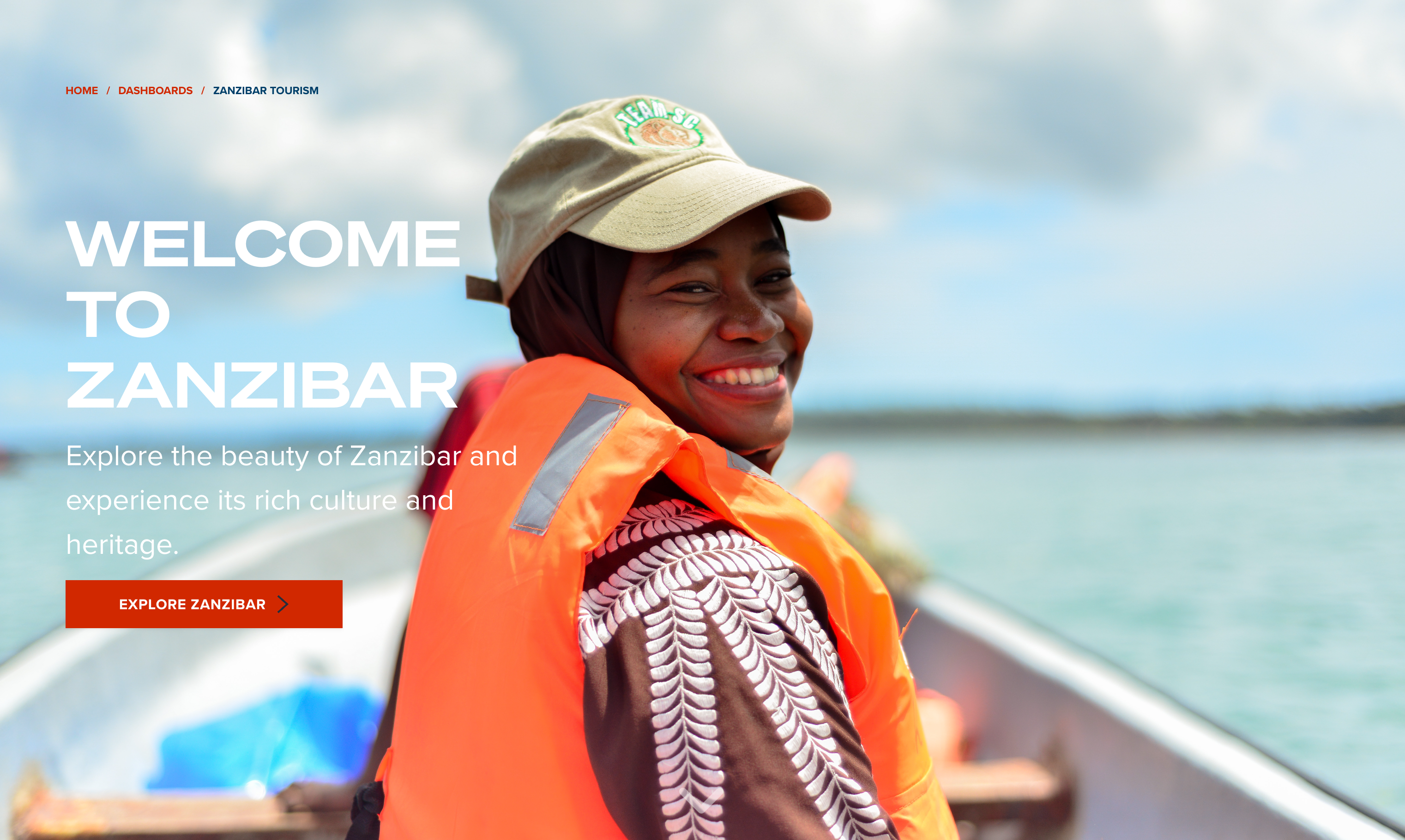 Overview of Zanzibar dashboard