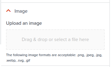 Chapter Slide Settings Panel - Image